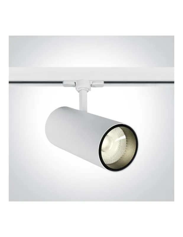 Bezpieczna płatność One Light reflektor biały 30W na szynę Skalitina 3 65642CT/W/C kolory-swiatla.pl