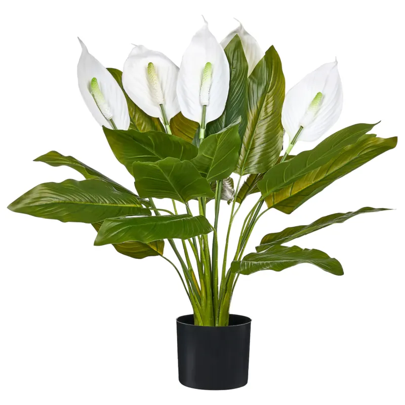 Wyprzedaż Sztuczna roślina SPATHPHYLLUM 70 cm Zielony -