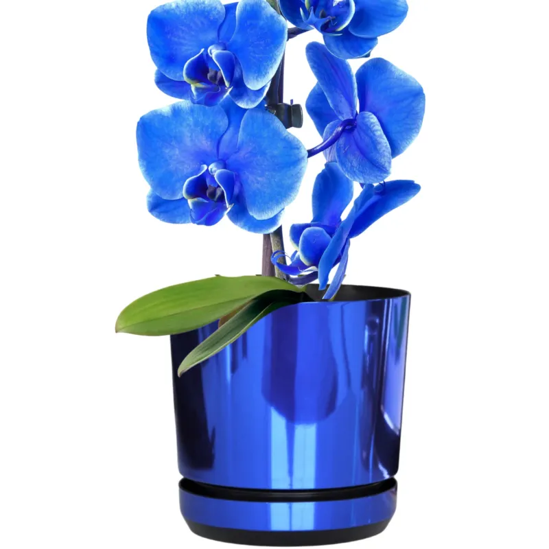 Niska cena 21 cm wzór NIEBIESKI BŁYSZCZĄCY Doniczka z podstawką glamour wysoki połysk do wrzosów lawendy storczyków krokusów orchidei chabrowa kobalt szafirowa błękit paryski królewski -