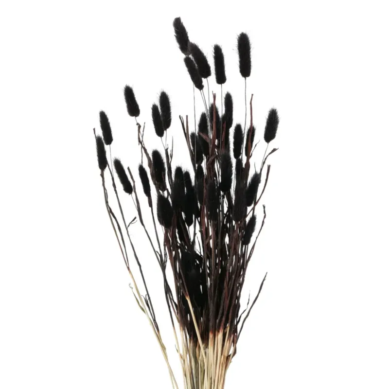 Oferta limitowana Ozdobne gałązki do wazonu, suszone, 70 cm -