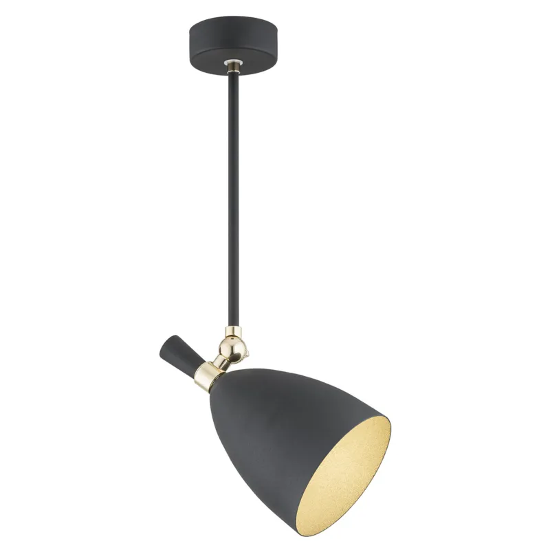 Lampa Wisząca Charlotte 4686 Argon 1xE27 15W Stal Lakierowana/ Stal Mosiądzowana, Czarny / Mosiądz Wyjątkowa oferta