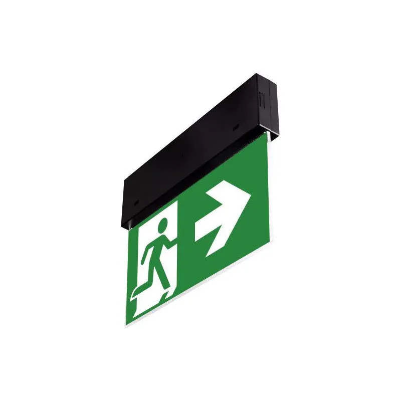 Bezpieczne zakupy Oprawa Ewakuacyjna Directo S Nm 2H Mt [Blk] + (Vd3, Vd4, Vd5 X 2) / 90682