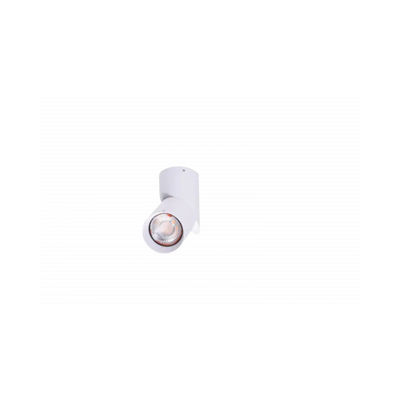 Oferta Jednopunktowa Lampa Sufitowa Santos Gu10 Wh Az4200