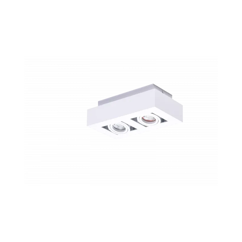 Bezpieczna płatność Dwupunktowa Lampa Sufitowa Nikea 2 Gu10 Wh Az4434