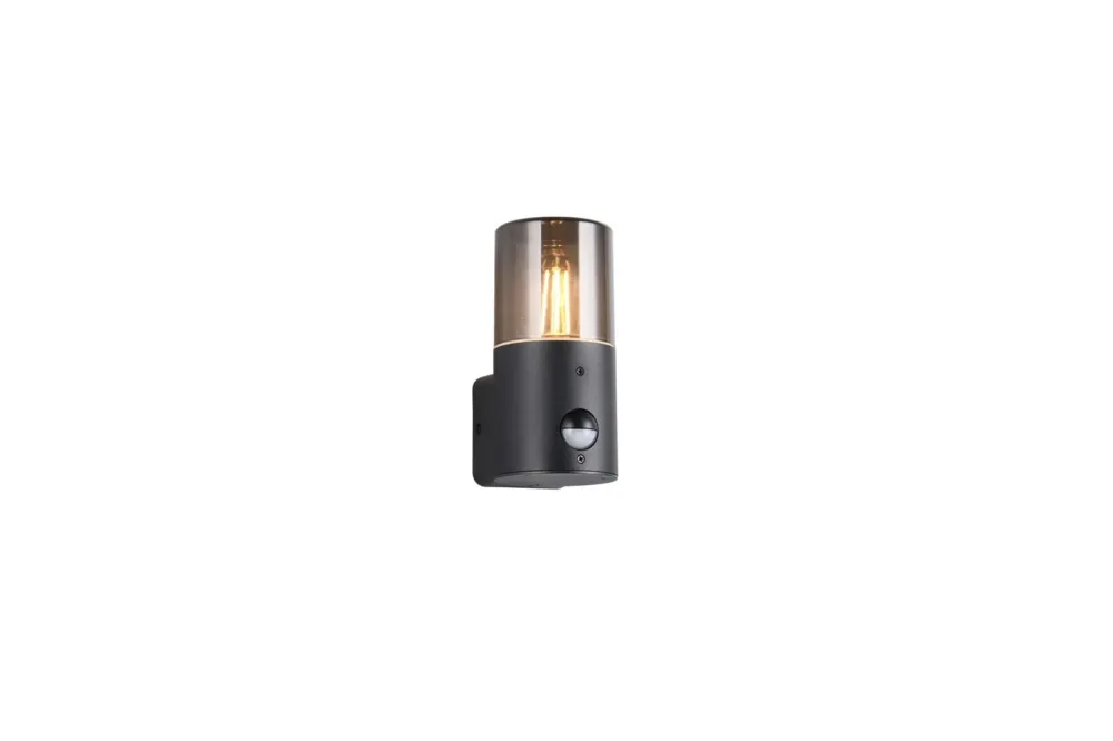 Oferta Kinkiet HOOSIC - CZUJNIK RUCHU 222260132 - Trio